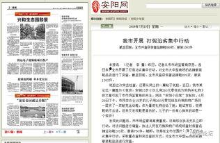 安阳爆料新闻最新消息,重大事件引发社会关注